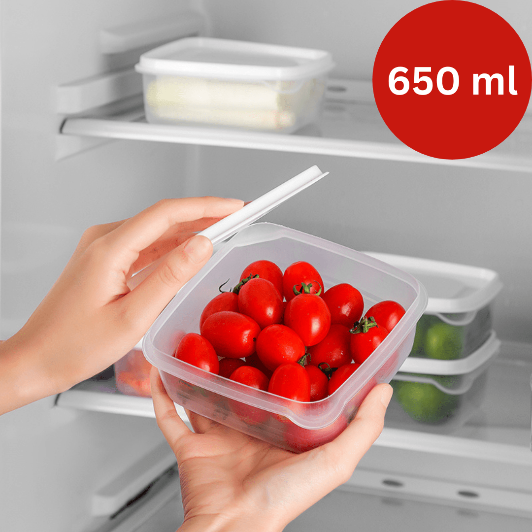 Refrigerator Fresh Frozen Food Storage Container